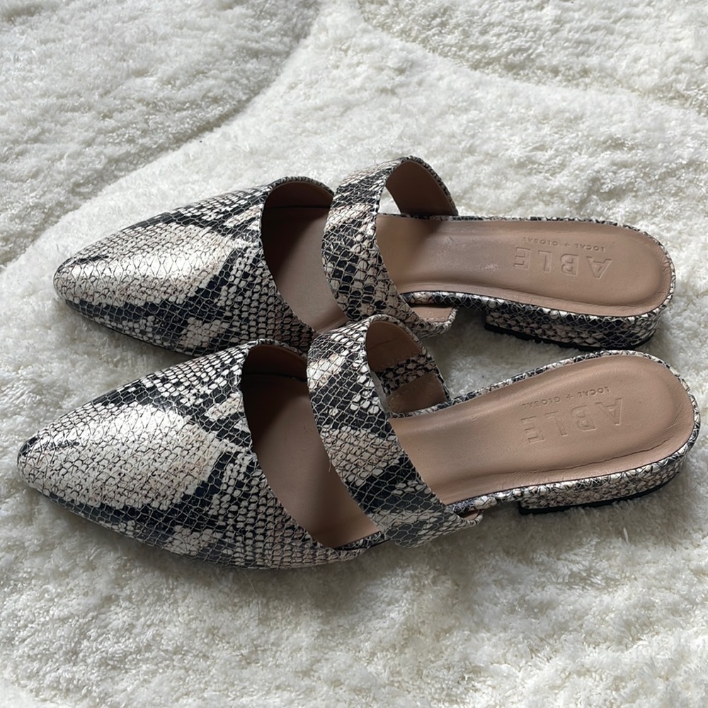 Able Slides - image 1